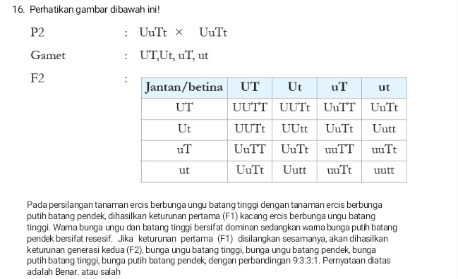 Perhatikan gambar dibawah ini! 
P2 UuTt × UuTt 
' 
Gamet : UT, Ut, uT, ut 
F2 
Pada persilangan tanaman ercis berbunga ungu batang tinggi dengan tanaman ercis berbunga 
putih batang pendek, dihasilkan keturunan pertama (F1) kacang ercis berbunga ungu batang 
tinggi. Warna bunga ungu dan batang tinggi bersifat dominan sedangkan wara bunga putih batang 
pendek bersifat resesif. Jika keturunan pertama (F1) disilangkan sesamanya, akan dihasilkan 
keturunan generasi kedua (F2), bunga ungu batang tinggi, bunga ungu batang pendek, bunga 
putih batang tinggi, bunga putih batang pendek, dengan perbandingan 9:3:3:1. Pernyataan diatas 
adalah Benar. atau salah