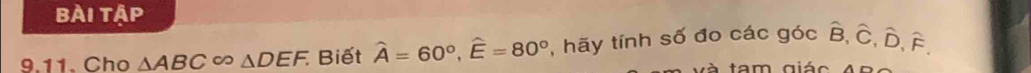 bài tập 
9.11. Cho △ ABC∈fty △ DEF. Biết widehat A=60°, widehat E=80° , hãy tính số đo các góc hat B, hat C, hat D, hat F. 
tam giác