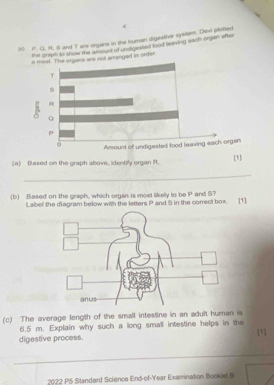 4 
30. P, Q, R, S and T are organs in the human digestive system. Devi plotted 
the graph to show the amount of undigested lood leaving each organ after 
organs are not arranged in order. 
gan 
[1] 
(a) Based on the graph above, identify organ R. 
_ 
(b) Based on the graph, which organ is most likely to be P and S? 
Label the diagram below with the letters P and S in the correct box. [1] 
(c) The average length of the small intestine in an adult human is
6.5 m. Explain why such a long small intestine helps in the 
digestive process. [1] 
_ 
_ 
_ 
2022 P5 Standard Science End-of-Year Examination Booklet B