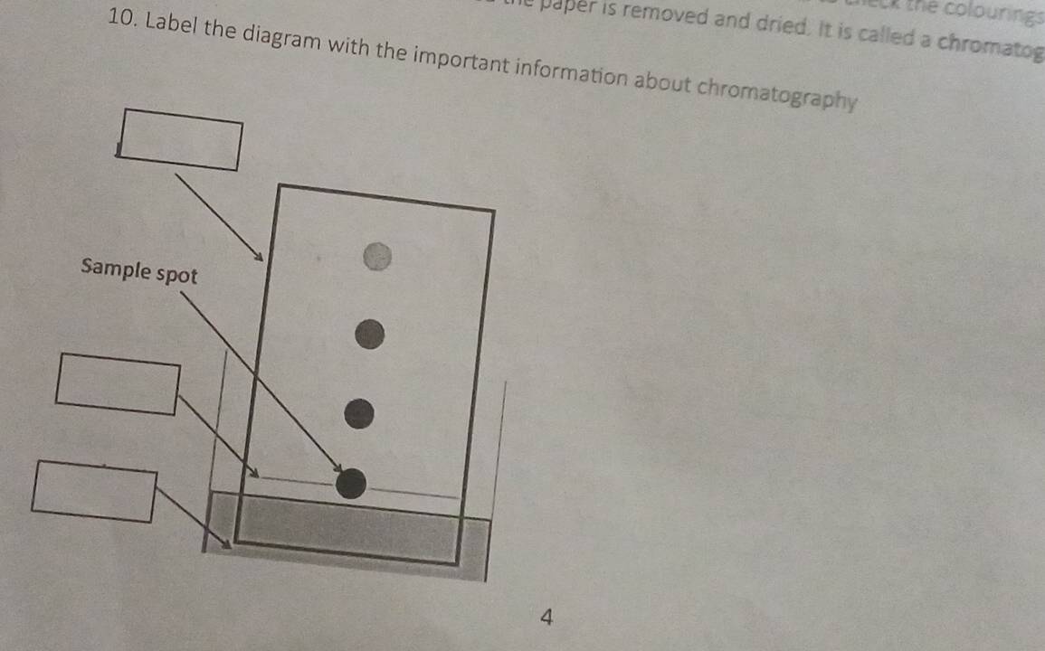 neck the colourings 
he paper is removed and dried. It is called a chromatog 
10. Label the diagram with the important information about chromatography 
4