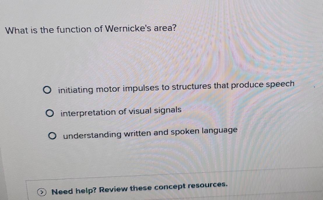 Solved: What is the function of Wernicke's area? initiating motor ...