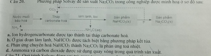 Phương pháp Solvay đễ sản xuất Na_2CO_3 trong công nghiệp được minh hoạ ở sơ đồ sau:
CO 
Nước muối Tháp làm lạnh, lọc Sân phẩm Sản phẩm
bāo hoà carbonate hoá
NaHC O_3(s) Na_2CO_3(s)
NH_4Cl(aq)
a. Ion hydrogencarbonate được tạo thành tại tháp carbonate hoá.
b. Ở giai đoạn làm lạnh, Na HCO_3 được tách biệt bằng phương pháp kết tủa.
c. Phản ứng chuyền hoá N aHCO_3 thành Na_2CO_3 là phản ứng toả nhiệt.
d. Ammonia và carbon dioxide được sử dụng quay vòng trong quá trình sản xuất.