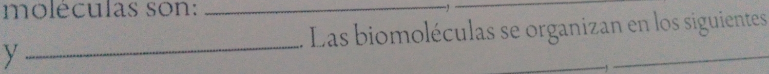 moléculas son:_ 
-) 
_ 
Las biomoléculas se organizan en los siguientes 
y 
_ 
_ 
_