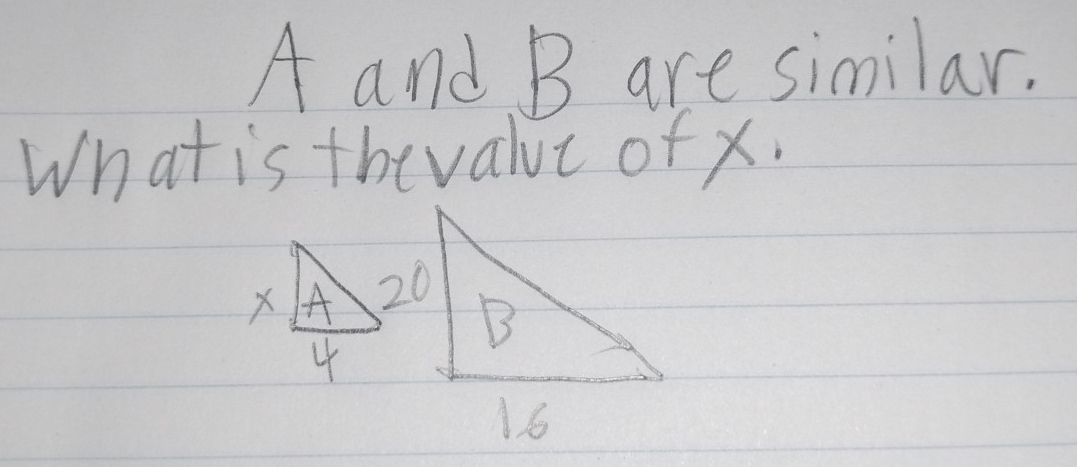 A and B are similar. 
What is thevalue of x.
20