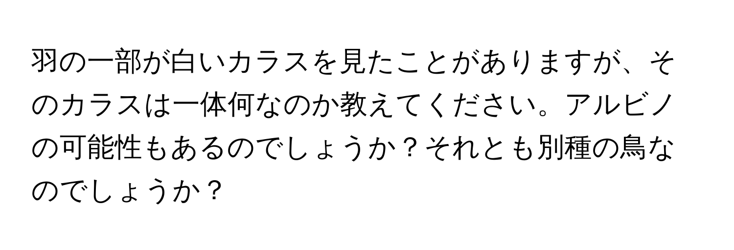 羽の一部が白いカラスを見たことがありますが、そのカラスは一体何なのか教えてください。アルビノの可能性もあるのでしょうか？それとも別種の鳥なのでしょうか？