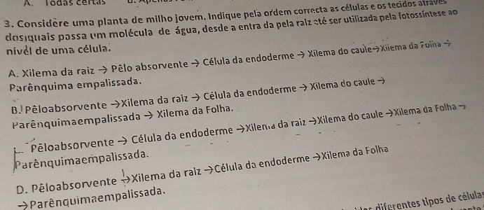 Todas cértas
3. Considère uma planta de milho jovem. Indique pela ordem correcta as células e os tecidos atraves
dosiquais passa um molécula de água, desde a entra da pela raiz até ser utilizada pela fotossíntese ao
nivel de uma célula.
A. Xilema da raiz → Pêlo absorvente → Célula da endoderme → Xilema do caule→Xilema da Foiha →
Parênquima empalissada.
B./ Pêloabsorvente →Xilema da raiz → Célula da endoderme → Xilema do caule →
Parênquimaempalissada → Xilema da Folha.
Péloabsorvente → Célula da endoderme →Xilenta da raiz →Xilema do caule →Xilema da Folha →
Parênquima empalissada.
D. Pêloabsorvente →Xilema da raiz →Célula da endoderme →Xilema da Folha
Parênquima em palissa da.
es diferentes tipos de células