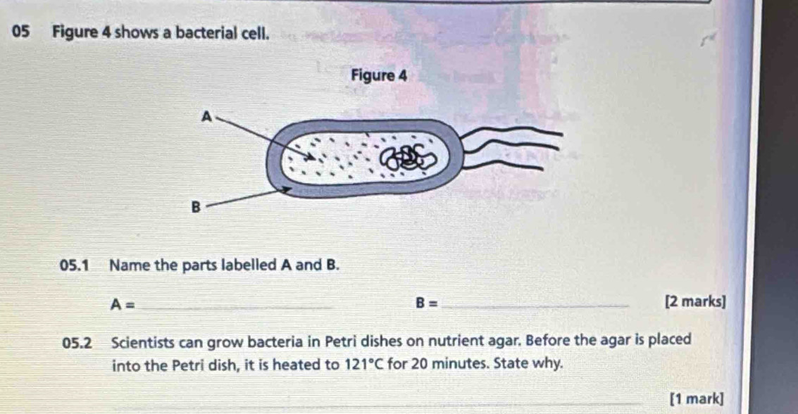 Solved: Figure 4 shows a bacterial cell. Figure 4 05.1 Name the parts ...