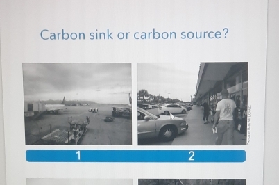 Carbon sink or carbon source? 
2