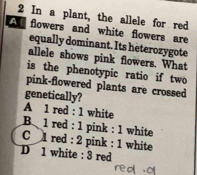 In a plant, the allele for red
A flowers and white flowers are
equally dominant. Its heterozygote
allele shows pink flowers. What
is the phenotypic ratio if two
pink-flowered plants are crossed
genetically?
A 1 red : 1 white
B 1 red : 1 pink : 1 white
C 1 red : 2 pink : 1 white
D 1 white : 3 red