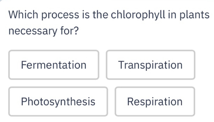 Solved: Which process is the chlorophyll in plants necessary for ...