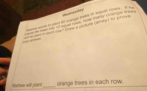 Wednesday 
Mathew wants to plant 60 orange trees in equal rows. If h 
plants the trees into 12 equal rows, how many orange trees 
your answer. will he plant in each row? Draw a picture (array) to prove 
Mathew will plant _orange trees in each row.