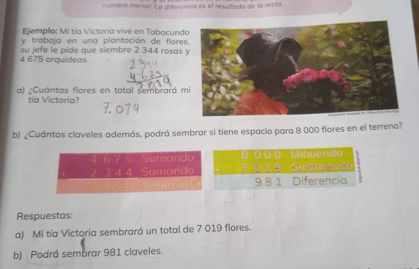 número menor. La diferencia es el resultado de la resta. 
Ejemplo: Mi tía Victoria vive en Tabacundo 
y trabaja en una plantación de flores 
su jefe le pide que siembre 2 344 rosas
4 675 orquídeas. 
a) ¿Cuántas flores en total sembrará m 
tía Victoria? 
b) ¿Cuántos claveles además, podrá sembrar si tiene espacio para 8 000 flores en el terreno? 
Sumando 8 000 Minuendo
beginarrayr 4675 2344 hline 7019endarray Sumando 7 0 1 9 Sustraendo 
Suma fata 9 8 1 Diferencia 
Respuestas: 
a) Mi tía Victoria sembrará un total de 7 019 flores. 
b) Podrá sembrar 981 claveles.