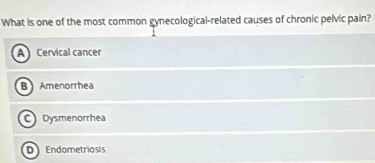 What is one of the most common gynecological-related causes of chronic pelvic pain?
Cervical cancer
B Amenorrhea
C Dysmenorrhea
D) Endometriosis