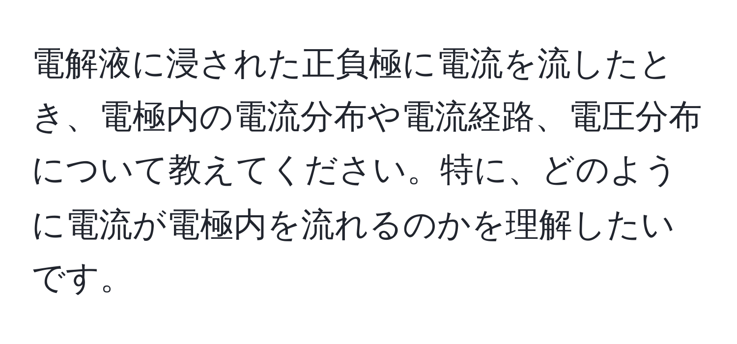 電解液に浸された正負極に電流を流したとき、電極内の電流分布や電流経路、電圧分布について教えてください。特に、どのように電流が電極内を流れるのかを理解したいです。