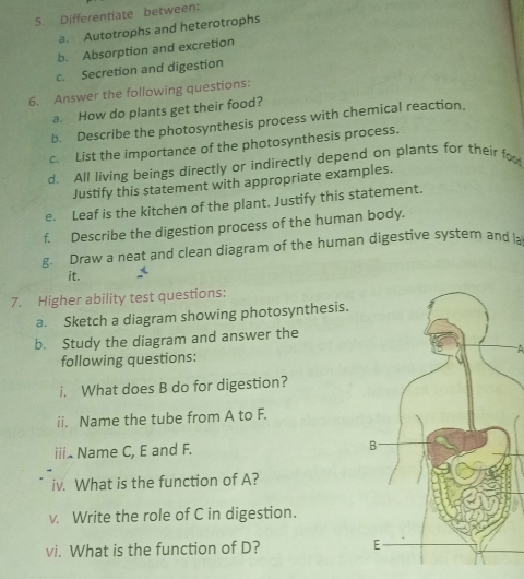 Differentiate between: 
a. Autotrophs and heterotrophs 
b. Absorption and excretion 
c. Secretion and digestion 
6. Answer the following questions: 
a. How do plants get their food? 
b. Describe the photosynthesis process with chemical reaction. 
c. List the importance of the photosynthesis process. 
d. All living beings directly or indirectly depend on plants for their fo 
Justify this statement with appropriate examples. 
e. Leaf is the kitchen of the plant. Justify this statement. 
f. Describe the digestion process of the human body. 
g. Draw a neat and clean diagram of the human digestive system and 
it. 
7. Higher ability test questions: 
a. Sketch a diagram showing photosynthesis. 
b. Study the diagram and answer the 
following questions: 
i. What does B do for digestion? 
ii. Name the tube from A to F. 
ii Name C, E and F. 
iv. What is the function of A? 
v. Write the role of C in digestion. 
vi. What is the function of D?