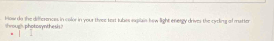 How do the differences in color in your three test tubes explain how light energy drives the cycling of matter 
through photosynthesis?