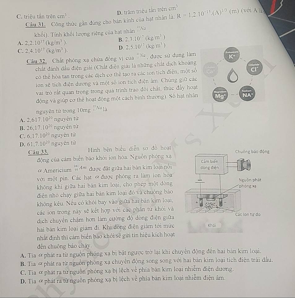 D. trăm triệu tấn trên cm^3
C. triệu tấn trên cm^3. R=1,2.10^(-15).(A)^1/3 (m) (với A là
Câu 31. Công thức gần đúng cho bán kính của hạt nhân là:
khối). Tính khối lượng riêng của hạt nhân _(11)^(23)N a
A. 2,2.10^(17)(kg/m^3).
B. 2,3.10^(17)(kg/m^3)
C. 2,4.10^(17)(kg/m^3).
D. 2,5.10^(17)(kg/m^3)
Câu 32. Chất phóng xạ chứa đồng vị của _(11)^(23)Na , được sử dụng làm
K
chất đánh dấu điện giải (Chất điện giải là những chất dịch khoáng Chlorid
có thể hòa tan trong các dịch cơ thể tạo ra các ion tích điện, một số
cr
ion sẽ tích điện dương và một số ion tích điện âm. Chúng giữ các
vai trò rất quan trọng trong quá trình trao đồi chất, thúc đầy hoạt
động và giúp cơ thể hoạt động một cách bình thường). Số hạt nhân Mg NA
nguyên tử trong 10mg^(frac 23)11Nala
A. 2,617.10^(20) nguyen1 u
B. 26,17.10^(20) nguyên tử
C. 6,17.10^(20)ngu tyên tử
D. 61,7.10^(20) nguyên tử
Câu 33. Hình bên biểu diễn sơ đồ hoạt
động của cảm biến báo khói ion hóa. Nguồn phóng xạ
α Americium 95Am được đặt giữa hai bản kim loại nối 
với một pin. Các hạt ỡ được phóng ra làm ion hóa
không khí giữa hai bản kim loại, cho phép một dòng 
điện nhỏ chạy giữa hai bản kim loại đó và chuông báo
không kêu. Nếu có khói bay vào giữa hai bản kim loại,
các ion trong này sẽ kết hợp với các phân tử khói và
dịch chuyển chậm hơn làm cường độ dòng điện giữa
hai bản kim loại giảm đi. Khi dòng điện giảm tới mức
nhất định thì cảm biến báo khói sẽ gửi tín hiệu kích hoạt
đến chuông báo cháy.
A. Tia & phát ra từ nguồn phóng xạ bị bật ngược trở lại khi chuyền động đến hai bản kim loại.
B. Tia & phát ra từ nguồn phóng xạ chuyền động song song với hai bản kim loại tích điện trái dấu.
C. Tia & phát ra từ nguồn phóng xạ bị lệch về phía bản kim loại nhiễm điện dương.
D. Tia & phát ra từ nguồn phóng xạ bị lệch về phía bản kim loại nhiễm điện âm.