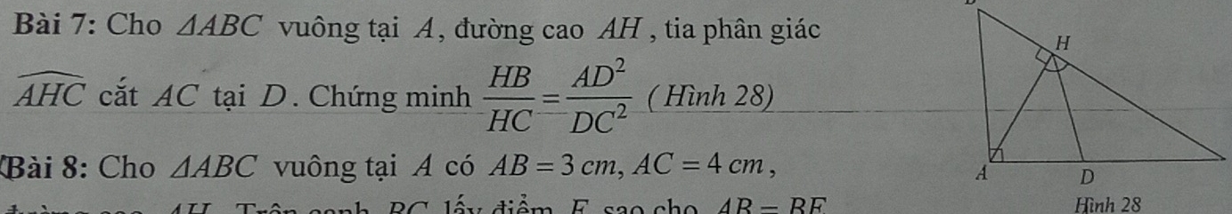 Cho △ ABC vuông tại A, đường cao AH , tia phân giác
widehat AHC cắt AC tại D. Chứng minh  HB/HC = AD^2/DC^2  ( Hình 28) 
Bài 8: Cho △ ABC vuông tại A có AB=3cm, AC=4cm, 
in sanh BC lấu điểm. E sao cho AR=RF