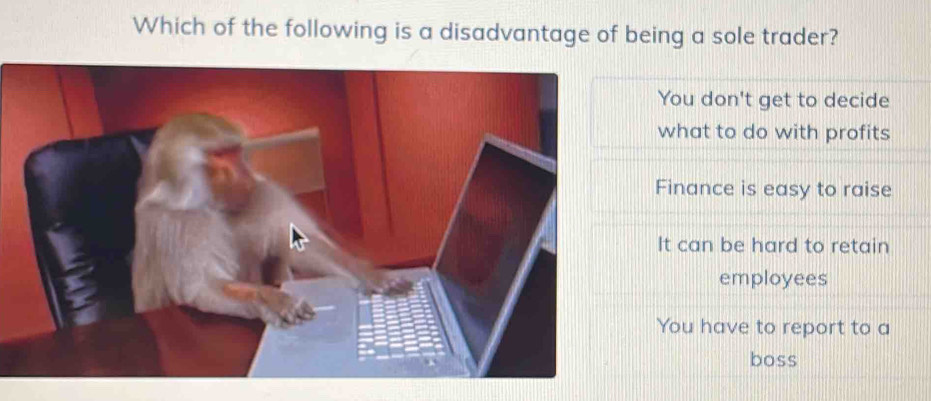 Which of the following is a disadvantage of being a sole trader?
You don't get to decide
what to do with profits
Finance is easy to raise
It can be hard to retain
employees
You have to report to a
boss