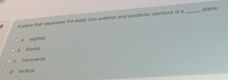Solved: A plane that separates the body into anterior and posterior ...