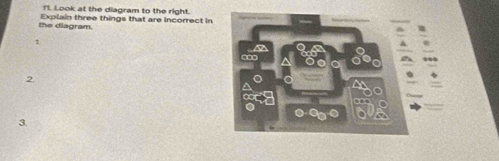 TL Look at the diagram to the right. 
Explain three things that are incorrect in 
the diagram. 
1 
a 
2 
3.