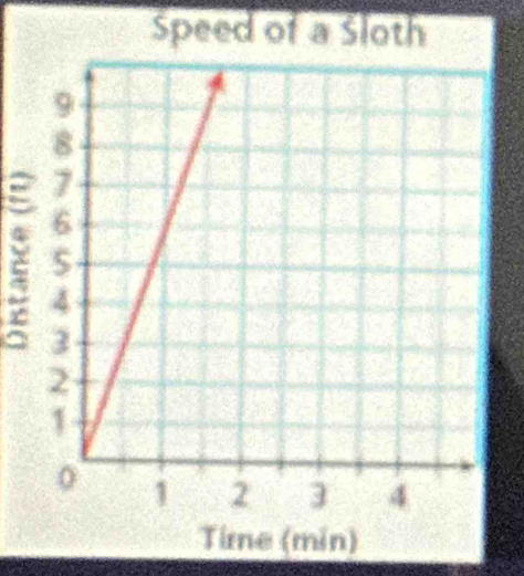 Speed of a Sloth 
a 
Time (min)