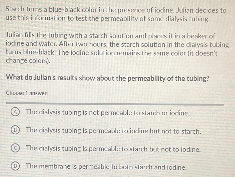 Solved: Starch turns a blue-black color in the presence of iodine ...