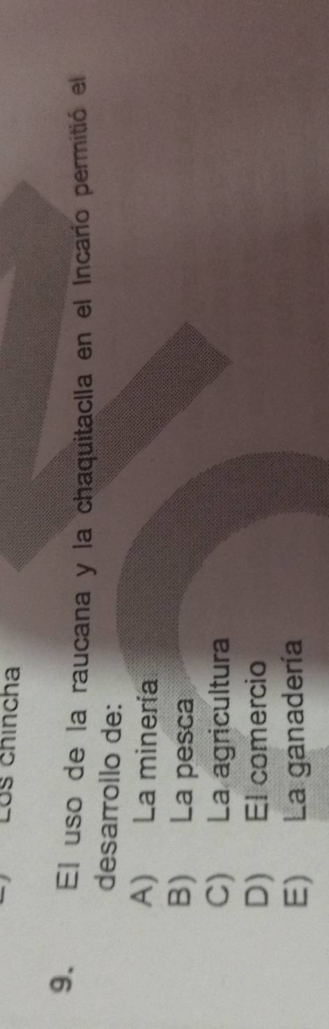 Los chíncha
9. El uso de la raucana y la chaquitaclla en el Incarío permitió el
desarrollo de:
A) La minería
B) La pesca
C) La agricultura
D) El comercio
E) La ganadería
