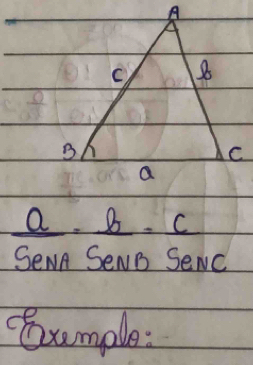  a/SeNA = b/SeNB = c/SeNC 
Sxumple: