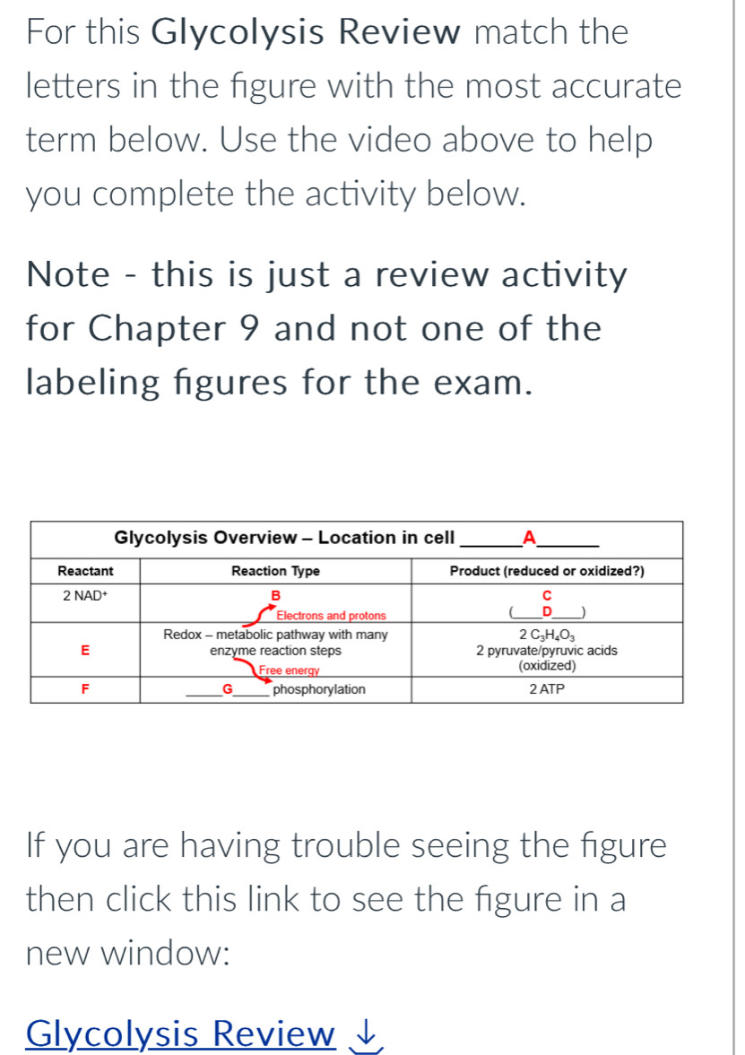 For this Glycolysis Review match the
letters in the figure with the most accurate
term below. Use the video above to help
you complete the activity below.
Note - this is just a review activity
for Chapter 9 and not one of the
labeling figures for the exam.
If you are having trouble seeing the figure
then click this link to see the figure in a
new window:
Glycolysis Review ↓