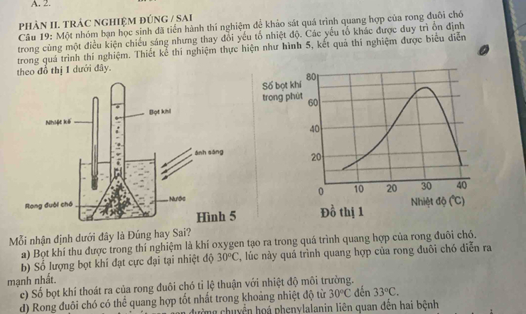 PHÀN II. TRÁC NGHIỆM ĐÚNG / SAI
Câu 19: Một nhóm bạn học sinh đã tiến hành thí nghiệm để khảo sát quá trình quang hợp của rong đuôi chó
trong cùng một điều kiện chiếu sáng nhưng thay đổi yếu tố nhiệt độ. Các yếu tố khác được duy trì ổn định
trong quá trình thí nghiệm. Thiết kể thí nghiệm thực hiện như hình 5, kết quả thí nghiệm được biểu diễn
theo đồ thị 1 dưới đây.
 
Mỗi nhận định dưới đây là Đúng hay Sai?
a) Bọt khí thu được trong thí nghiệm là khí oxygen tạo ra trong quá trình quang hợp của rong đuôi chó.
b) Số lượng bọt khí đạt cực đại tại nhiệt độ 30°C 3, lúc này quá trình quang hợp của rong đuôi chó diễn ra
mạnh nhất.
c) Số bọt khí thoát ra của rong đuôi chó tỉ lệ thuận với nhiệt độ môi trường.
d) Rong đuôi chó có thể quang hợp tốt nhất trong khoảng nhiệt độ từ 30°C đến 33°C.
chường chuyển hoá phenylalanin liên quan đến hai bệnh