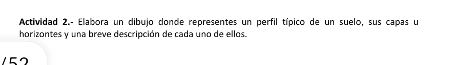 Actividad 2.- Elabora un dibujo donde representes un perfil típico de un suelo, sus capas u 
horizontes y una breve descripción de cada uno de ellos. 
152