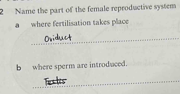 Name the part of the female reproductive system 
a where fertilisation takes place 
Oviduct 
b where sperm are introduced. 
_ 
_ 
_