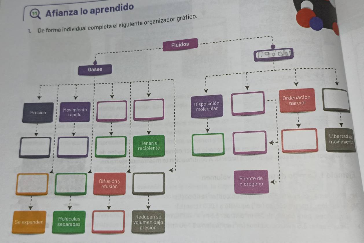 Afianza lo aprendido 
1. De forma individual completa el siguiente organizador gráfico. 
os