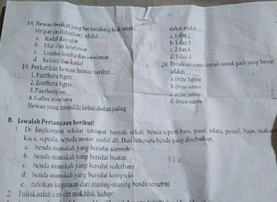 Hewan berikut yang herkembang brak secat a
dekat adalah
vivipar (mělahírkan) adalah.
a. 1 dan 2
a Kadal dan ular
b. 1 dan 3
b. Ular dan kelelawar
c. 2 dan 4
c. Lumba-lumba dan kelelawar
d. 3 dan 4
d. Kelinci dan kadal
20. Penulisan nama ilmiah untuk padi yang benar
19. Perhatikan hewan-hewan berikut..... adalah....
1. Panthera tigris
a. Oriza Sariva
2. Zoothera tigris b. Oriza sativa
3. Panthera leo
c. ariza sativa
4. Gallus zoothera d. Oriza-sativa
Hewan yang memiliki kekerabatan paling
B. Jawalah Pertanyaan berikut!
l. Di Iingkungan sekitar terdapat banyak sekali benda seperti batu, pasir, udara, pensil, baju, makan
kaca, sepeda, sepeda motor, mobil dl. Dari beberapa benda yang disebutkan,
a. benda manakah yang bersifat alamiah
b. benda manakah yang bersifat buatan
e benda manakah yang bersifat sederhana
d. benda manakah yang bersifat kompleks
e. tuliskan kegunaan dari masing-masing benda tersebut.
2. Tuliskanlah ciri-ein makhluk hidup!