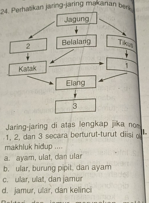 Perhatikan jaring-jaring makanan berik
Jagung
2
Belalang Tikus
Katak
1
Elang
3
Jaring-jaring di atas lengkap jika nom
1, 2, dan 3 secara berturut-turut diisi o 1.
makhluk hidup ....
a. ayam, ulat, dan ular
b. ular, burung pipit, dan ayam
c. ular, ulat, dan jamur
d. jamur, ular, dan kelinci