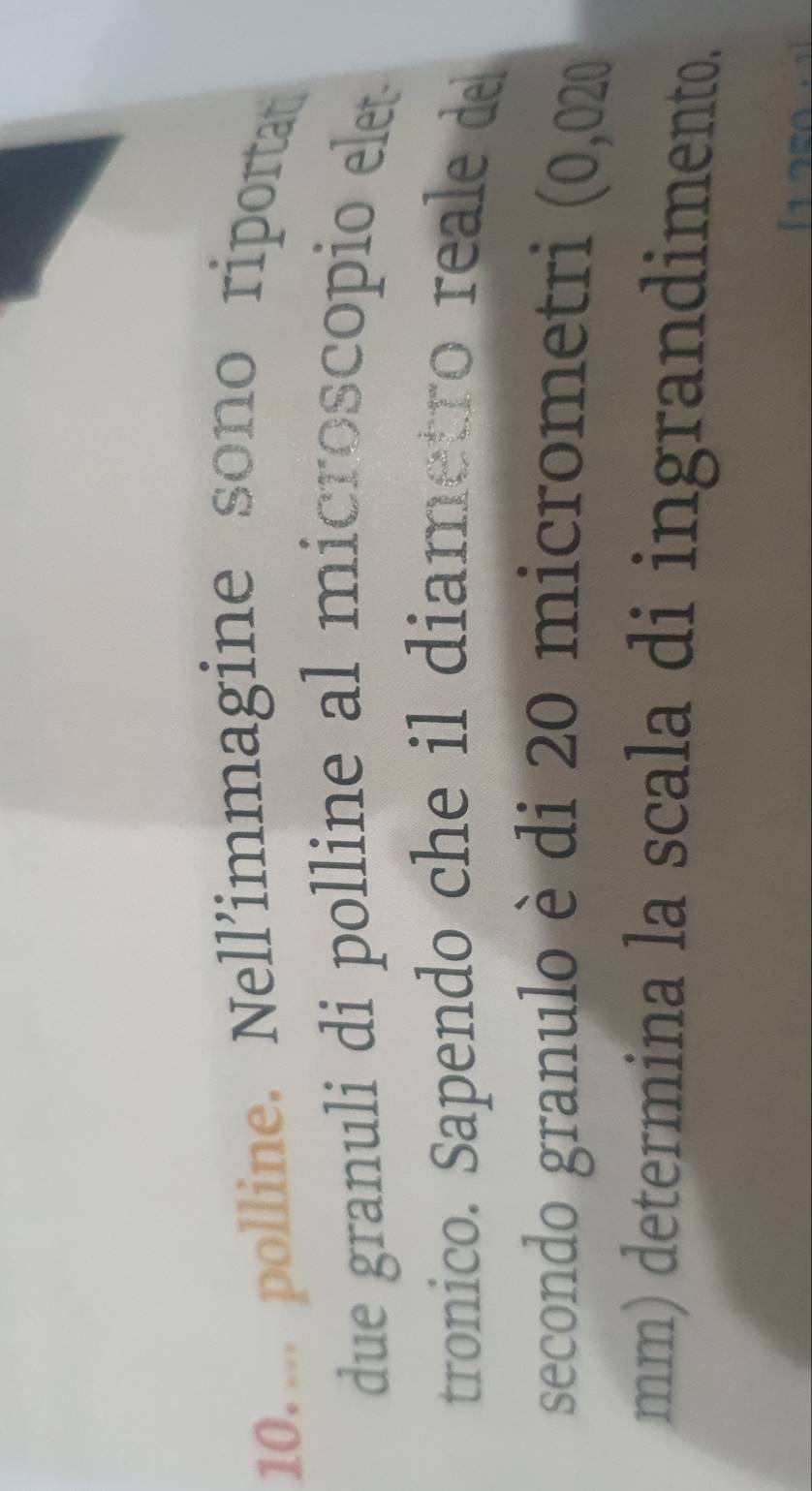10.... polline. Nell’immagine sono riportat 
due granuli di polline al microscopio elet 
tronico. Sapendo che il diametro reale de 
secondo granulo è di 20 micrometri (0,020
mm) determina la scala di ingrandimento.
