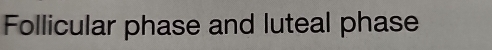 Follicular phase and luteal phase