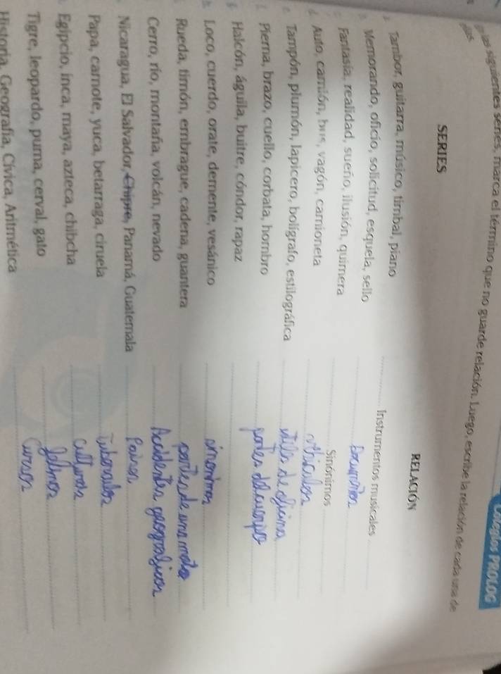 Lolegios PROLOG 
las siguientes seres, marca el término que no guarde relación. Luego, escribe la relación de cada una de 
aas 
SERIES 
RELACIÓN 
_ 
Tambor, guitarra, músico, timbal, piano 
Instrumentos musicales 
_ 
_ 
Memorando, oficío, solicitud, esquela, sello 
Fantasia, realidad, sueño, ilusión, quimera _Sinónimos_ 
_ 
a Auto, camión, bus, vagón, camioneta 
_ 
Tampón, plumón, lapicero, bolígrafo, estilográfica 
_ 
Pierna, brazo, cuello, corbata, hombro 
Halcón, águila, buitre, cóndor, rapaz_ 
Loco, cuerdo, orate, demente, vesánico_ 
_ 
Rueda, timón, embrague, cadena, guantera_ 
Cerro, río, montaña, volcán, nevado_ 
__ 
Nicaragua, El Salvador, Chipre, Panamá, Guatemala_ 
_ 
_ 
Papa, camote, yuca, betarraga, ciruela 
_ 
_ 
Egipcio, ínca, maya, azteca, chibcha 
__ 
_ 
_ 
_ 
Tigre, leopardo, puma, cerval, gato 
_ 
_ 
Historia, Geografia, Cívica, Aritmética