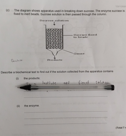 Vamdear 
(c) The diagram shows apparatus used in breaking down sucrose. The enzyme sucrase is 
fixed to inert beads. Sucrose solution is then passed through the column. 
Describe a biochemical test to find out if the solution collected from the apparatus contains 
(i) the products; 
_ 
_ 
(ii) the enzyme. 
_ 
_ 
_ 
(Total 7 r