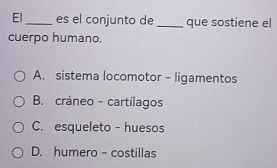 El_ es el conjunto de _que sostiene el
cuerpo humano.
A. sistema locomotor - ligamentos
B. cráneo - cartílagos
C. esqueleto - huesos
D. humero - costillas