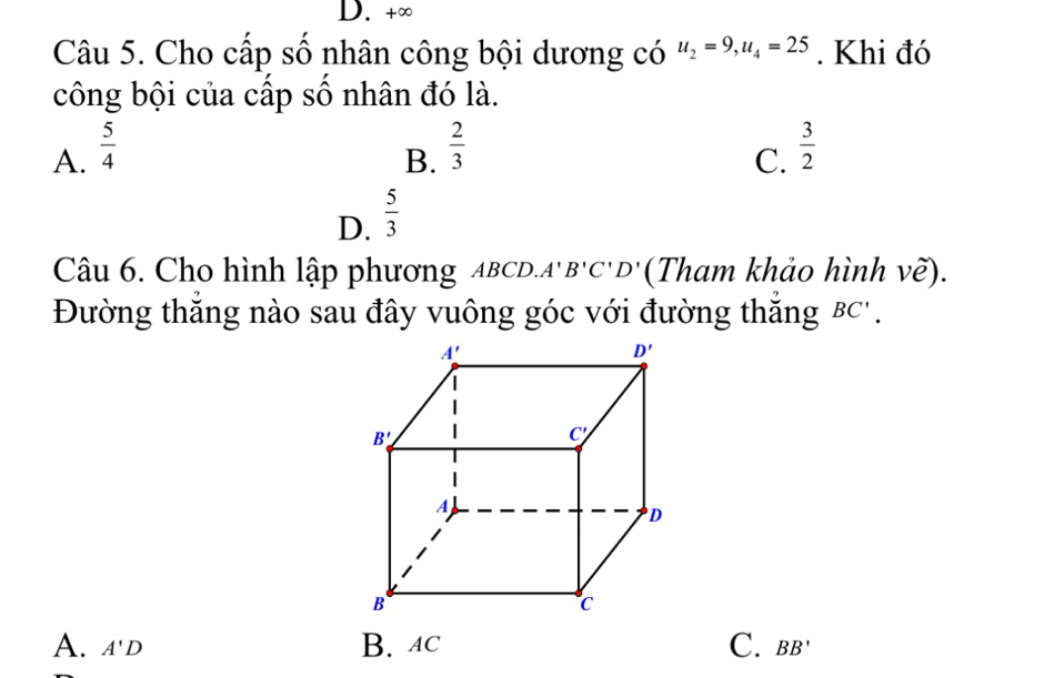 +∞
Câu 5. Cho cấp số nhân công bội dương có u_2=9,u_4=25. Khi đó
công bội của cấp số nhân đó là.
A.  5/4   2/3   3/2 
B.
C.
D.  5/3 
Câu 6. Cho hình lập phương ABCD.. A'B'C'D' (Tham khảo hình vẽ).
Đường thắng nào sau đây vuông góc với đường thắng BC'.
A. A'D B. 4C C. BB'