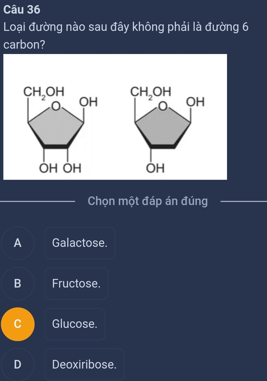 Loại đường nào sau đây không phải là đường 6
carbon?
 
_Chọn một đáp án đúng_
A Galactose.
B Fructose.
C Glucose.
D Deoxiribose.