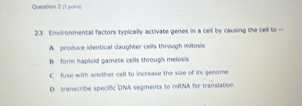 Environmental factors typically activate genes in a cell by causing the cell to —
A produce identical daughter cells through mitosis
B form haploid gamete cells through meiosis
C fuse with another cell to increase the size of its genome
D transcribe specific DNA segments to mRNA for translation