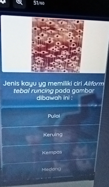 bist 
Jenis kayu yg memiliki ciri Aliform
tebal runcing pada gambar
dibawah ini :
Pulai
Keruing
Kempas
Medang