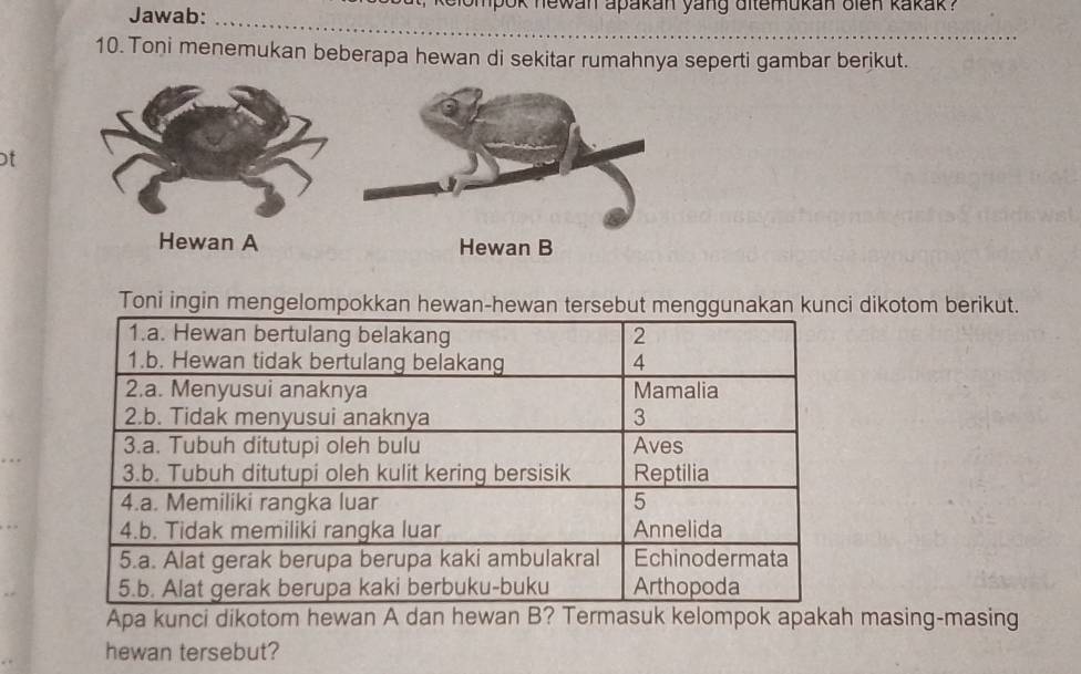 Jawab: k elompok newan apakan yang ditemukan olen kakak ? 
_ 
10. Toni menemukan beberapa hewan di sekitar rumahnya seperti gambar berikut. 
t 
Hewan B 
Toni ingin mengelompokkan hewan-hewan tersebut menggunakan kunci dikotom berikut. 
Apa kunci dikotom hewan A dan hewan B? Termasuk kelompok apakah masing-masing 
hewan tersebut?