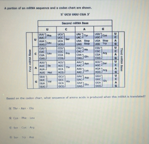 Solved: A portion of an mRNA sequence and a codon chart are shown. 5 ...