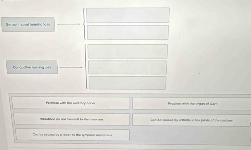 Sensorineural hearing loss
Conductive hearing loss
Problem with the auditory nerve Problem with the organ of Corti
Vibrations do not transmit to the inner ear Can be caused by arthritis in the joints of the ossicles
Can be caused by a lesion to the tympanic membrane