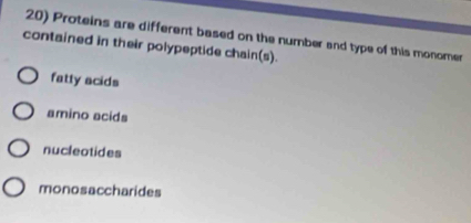 Proteins are different based on the number and type of this monomer
contained in their polypeptide chain(s).
fatty acids
amino acids
nucleotides
monosaccharides