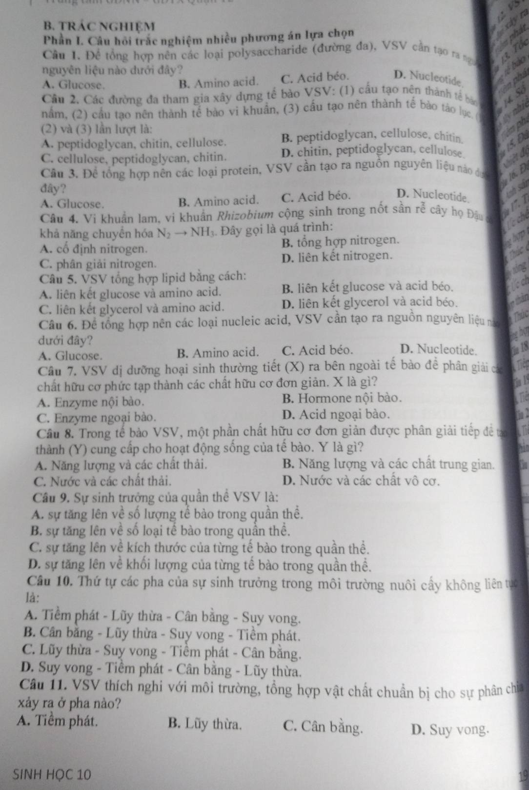 TRÁC NGHIỆM
Phần I. Câu hỏi trắc nghiệm nhiều phương án lựa chọn
mxyn     
aphat
Câu 1. Đề tổng hợp nên các loại polysaccharide (đường đa), VSV cần tạo ra ngư 3T
nguyên liệu nào dưới đây?
A. Glucose. B. Amino acid. C. Acid béo. D. Nucleotide  rê bảo
Câu 2. Các đường đa tham gia xây dựng tế bào VSV: (1) cấu tạo nên thành tế báo
1 S ên  phá
nẩm, (2) cầu tạo nên thành tế bào vi khuẩn, (3) cầu tạo nên thành tế bào tào lục. ( tynhi
(2) và (3) lần lượt là:
A. peptidoglycan, chitin, cellulose.
B. peptidoglycan, cellulose, chitin. Tiêm ph
C. cellulose, peptidoglycan, chitin.
D. chitin, peptidoglycan, cellulose.  15. Đ
v iệt đ
Cầu 3. Để tổng hợp nên các loại protein, VSV cần tạo ra nguồn nguyên liệu nào dực  16 D
đây?
A. Glucose. B. Amino acid. C. Acid béo. D. Nucleotide.
tnh sải
Câu 4. Vi khuẩn lam, vi khuẩn Rhizobìum cộng sinh trong nốt sần rễ cây họ Đậu 217.1
she
khả năng chuyền hóa N_2to NH. Đây gọi là quá trình:
A. cổ định nitrogen. B. tổng hợp nitrogen.
up
C. phân giải nitrogen. D. liên kết nitrogen.
jng
Câu 5. VSV tổng hợp lipid bằng cách:
A. liên kết glucose và amino acid. B. liên kết glucose và acid béo.
C. liên kết glycerol và amino acid. D. liên kết glycerol và acid béo.
Câu 6. Đề tổng hợp nên các loại nucleic acid, VSV cần tạo ra nguồn nguyên liệu nà * Thức
te no
dưới đây? D. Nucleotide. n  18
A. Glucose. B. Amino acid. C. Acid béo.
Câu 7. VSV dị dưỡng hoại sinh thường tiết (X) ra bên ngoài tế bào để phân giải cá  Tiệp
chất hữu cơ phức tạp thành các chất hữu cơ đơn giản. X là gì?
A. Enzyme nội bào. B. Hormone nội bào.
Thể
C. Enzyme ngoại bào. D. Acid ngoại bào. in 2
Câu 8. Trong tế bảo VSV, một phần chất hữu cơ đơn giản được phân giải tiếp đề ta an
thành (Y) cung cấp cho hoạt động sống của tế bào. Y là gì?
A. Năng lượng và các chất thải. B. Năng lượng và các chất trung gian.
C. Nước và các chất thải. D. Nước và các chất vô cơ.
Câu 9. Sự sinh trưởng của quần thể VSV là:
A. sự tăng lên về số lượng tế bào trong quần thể.
B. sự tăng lên về số loại tế bào trong quần thể.
C. sự tăng lên về kích thước của từng tế bào trong quần thề.
D. sự tăng lên về khối lượng của từng tế bào trong quần thể.
Câu 10. Thứ tự các pha của sự sinh trưởng trong môi trường nuôi cầy không liên tực
là:
A. Tiềm phát - Lũy thừa - Cân bằng - Sụy vong.
B. Cân bằng - Lũy thừa - Suy vong - Tiềm phát.
C. Lũy thừa - Suy vong - Tiềm phát - Cân bằng.
D. Suy vong - Tiềm phát - Cân bằng - Lũy thừa.
Câu 11. VSV thích nghi với môi trường, tổng hợp vật chất chuẩn bị cho sự phân chia
xảy ra ở pha nào?
A. Tiềm phát. B. Lũy thừa. C. Cân bằng. D. Suy vong.
SINH HỌC 10 19